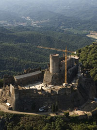 Arb&uacute;cies. Castell de Montsoriu