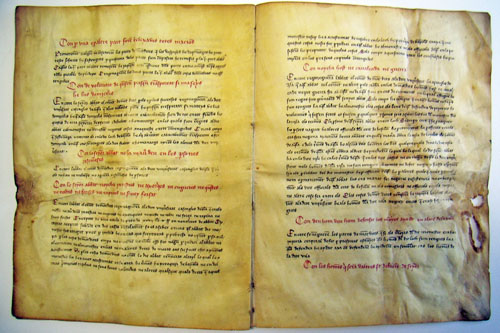 Fragment de la traducci&oacute; catalana de la Carta Municipal
