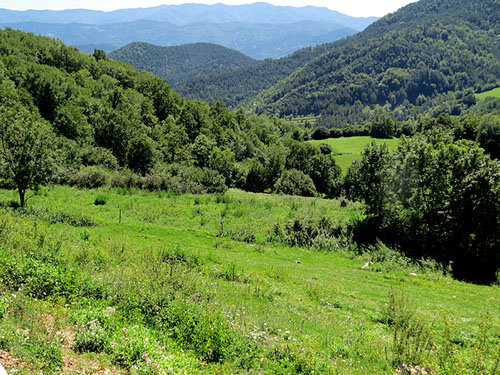 Paisatge del Ripoll&egrave;s des d'Ogassa