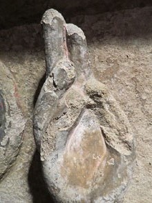 Timp&agrave; de l'esgl&eacute;sia de Sant Pol. Segle XII. Detall de la m&agrave; de Crist. Original del Museu de Sant Joan de les Abadesses