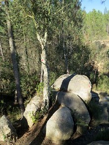 El cam&iacute; del castell de Farners