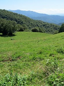 Paisatge del Ripoll&egrave;s des de Sant Mart&iacute; de Surroca